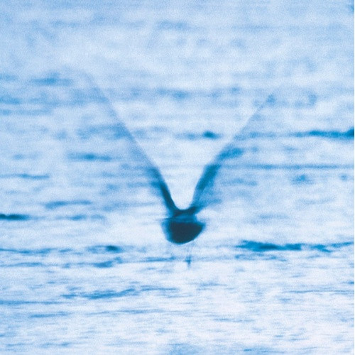 Ryo Fukui - Mellow Dream - LP Vinyl