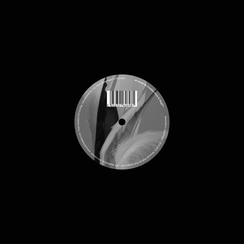 Croation Amor &  Varg²™ - Body Of Water / Body Of Carbon - LP Vinyl
