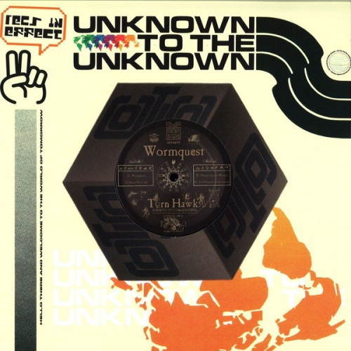 Torn Hawk - Wormquest Ep - 12" Vinyl