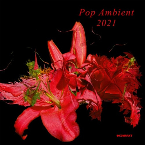 Various Artists - Pop Ambient 2021 - LP Vinyl+CD