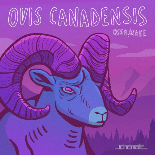 Ossa / Wake - Ovis Canadensis - 7" Vinyl