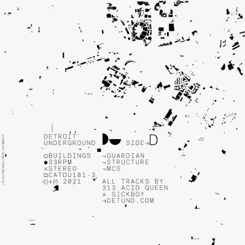 313 Acid Queen + Sickboy - Buildings - 12" Vinyl