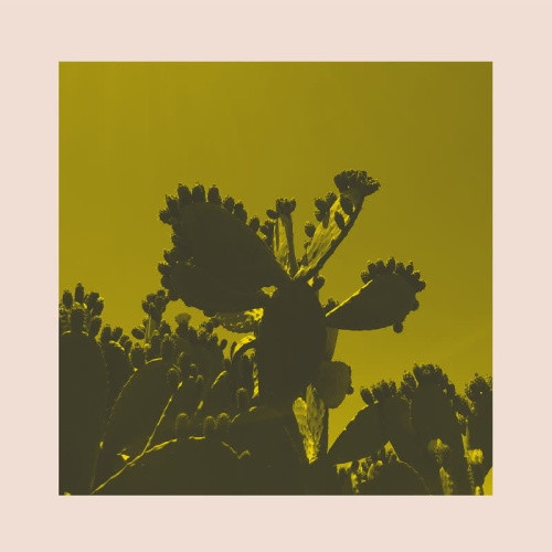 Bright & Findlay - Slow Dance - 12" Vinyl