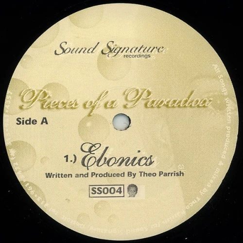 Theo Parrish - Pieces Of A Paradox - 12" Vinyl
