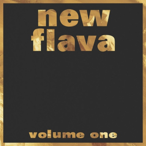 Various Artists - New Flava Vol. 1 - 2x LP Vinyl