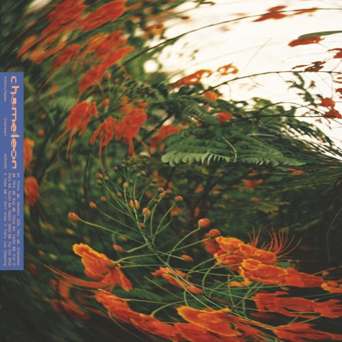 Anthony Naples - Chamelion - LP Vinyl
