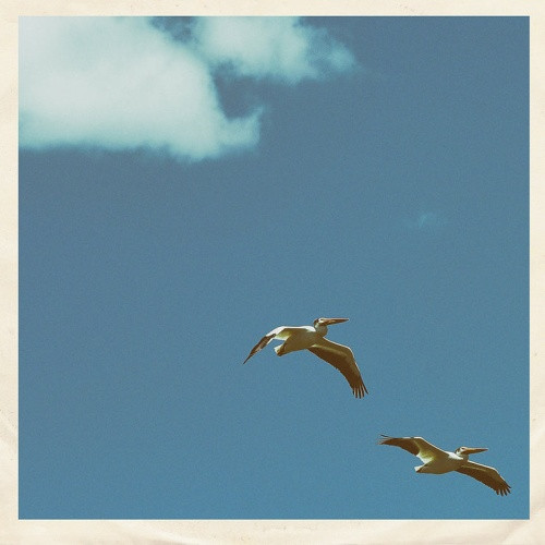 Sim Nagai - Palm Dreams - 7" Vinyl