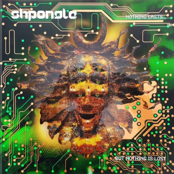 Shpongle - Nothing Lasts… But Nothing Is Lost - 2x LP Vinyl