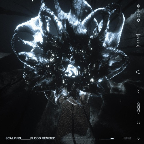 Scalping - Flood Remixed - 12" Vinyl