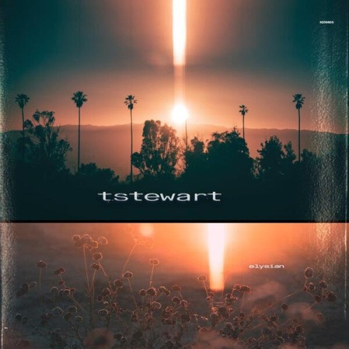 Tstewart - Elysian - LP Vinyl