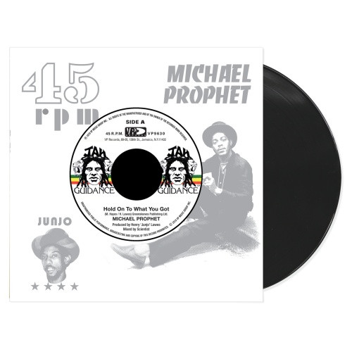 Michael Prophet / Roots Radics - Hold On To What You've Got - 7" Vinyl