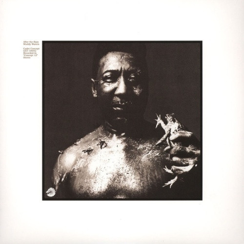 Muddy Waters - After The Rain - LP Vinyl