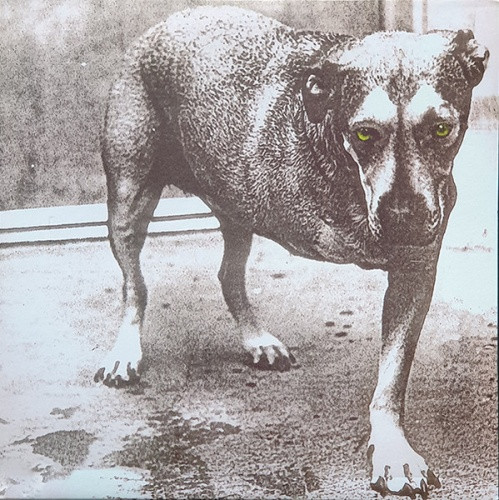 Alice In Chains - Alice In Chains - 2x LP Colored Vinyl - Ear