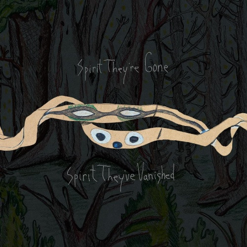 Animal Collective - Spirit They're Gone Spirit They've Vanished - 2x LP Colored Vinyl