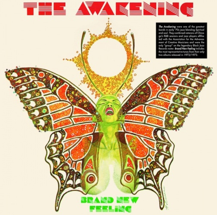 The Awakening - Brand New Feeling - LP Vinyl