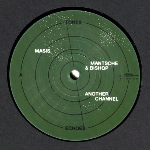 Various Artists - Tones And Echoes - 12" Vinyl