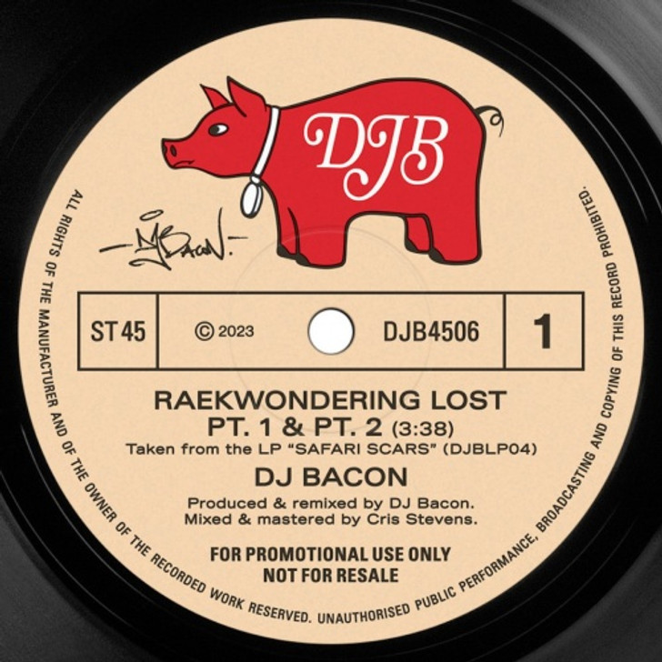 DJ Bacon - Raekwondering Lost - 7" Vinyl