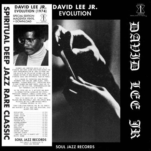 David Lee Jr. - Evolution - LP Colored Vinyl