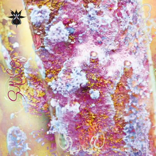 Qoa - Sauco - LP Vinyl