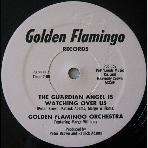 Golden Flamingo Orchestra - The Guardian Angel Is Watching Over Us - 12" Vinyl
