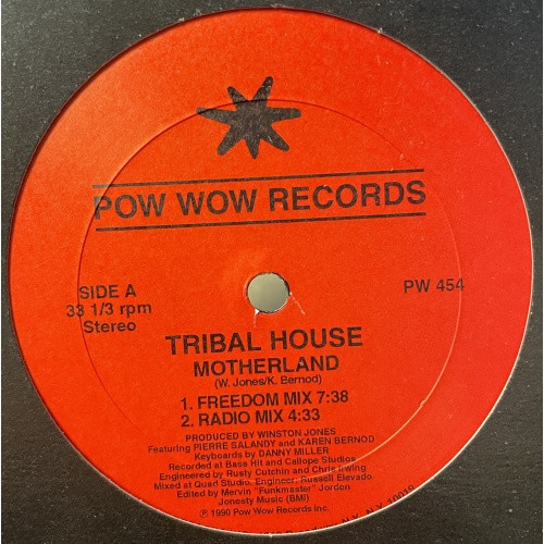 Tribal House - Motherland - 12" Vinyl