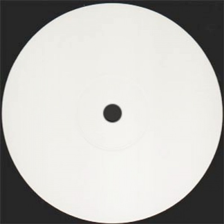 Persian Prince & Budda Q - Dynamic Flux / Put Away The Gun - 12" Vinyl