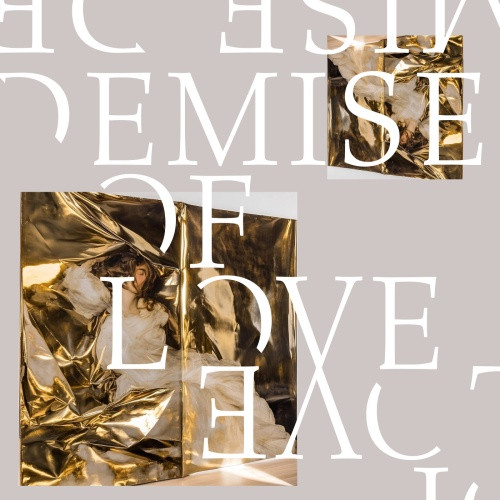 Demise Of Love - Demise Of Love - 10" Vinyl
