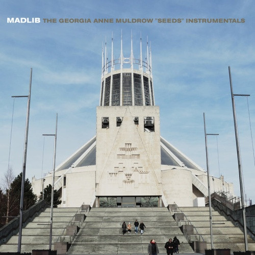 Madlib / Georgia Anne Muldrow - Seeds Instrumentals / The Declaime Instrumentals - LP Vinyl