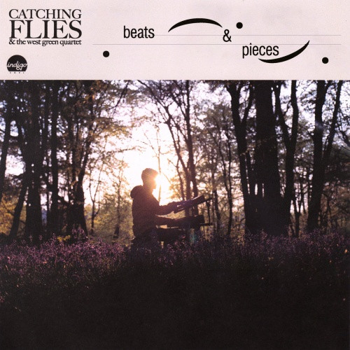 Catching Flies - Beats & Pieces - LP Vinyl