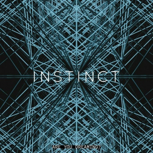 Instinct - Are You Dreaming - 2x LP Vinyl