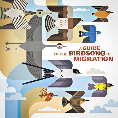 Various Artists - A Guide To The Birdsong Of Migration - LP Vinyl