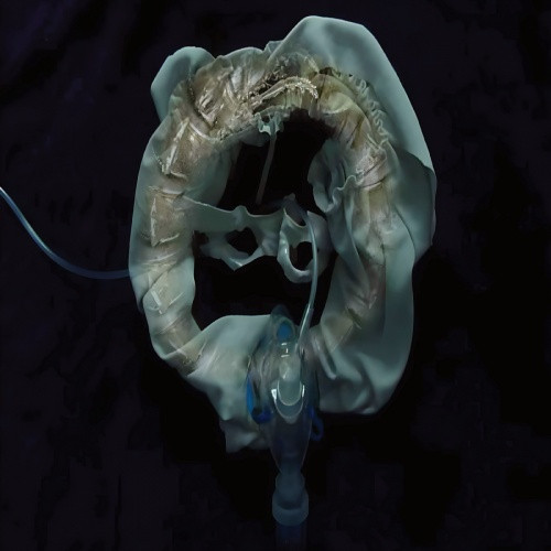 Ship Sket - InitiatriX - LP Vinyl