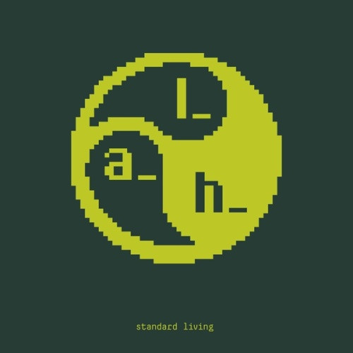 lil_art_hoe - Standard Living - 12" Vinyl