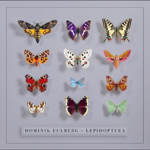 Dominik Eulberg - Lepidoptera - 2x LP Vinyl