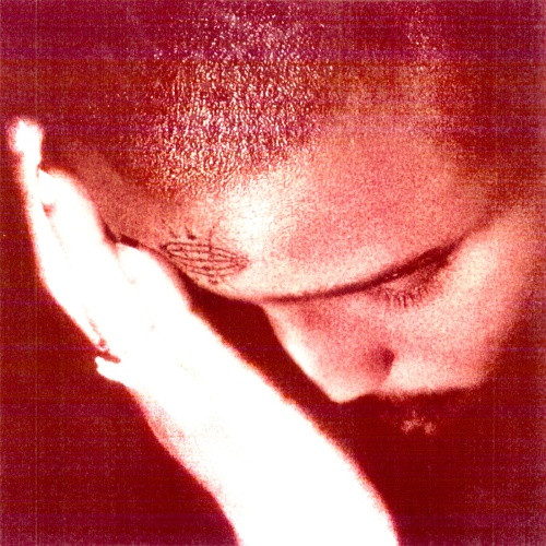 Nourished By Time - The Passionate Ones - LP Vinyl