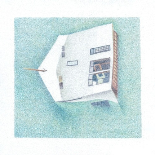 Danny Scott Lane - House Of Alice - LP Vinyl