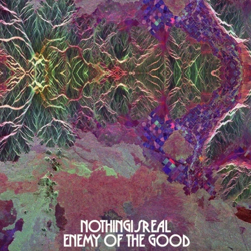 nothingisreal - Enemy Of The Good - LP Vinyl