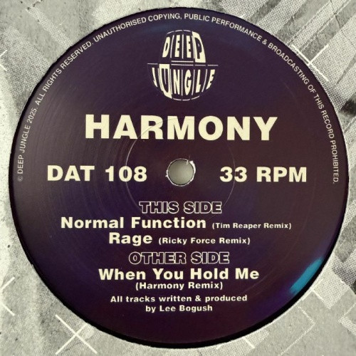 Harmony - When You Hold Me / Normal Function / Rage (Remixes) - 12" Vinyl