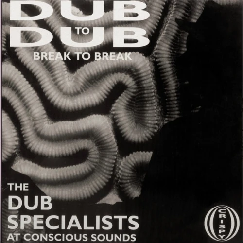 Dub Specialists - Dub To Dub Break To Break - LP Vinyl