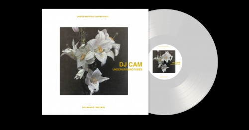 DJ Cam Underground Vibes LP レコード Amazon.co.jp: Underground Vibes: ミュージック
