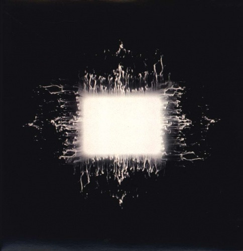 ブートレグ盤 TOOL AEnima アナログレコード Tool - Aenima - 2x LP Colored Vinyl - Ear Candy Music