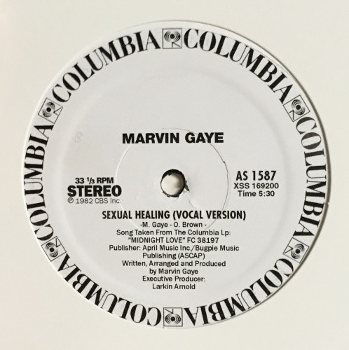 MARVIN GAYE/Sexual Healing (inc. Acappella / Instrumental