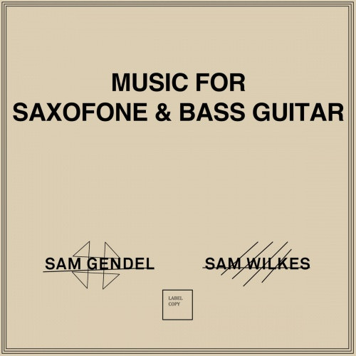 Sam Gendel & Sam Wilkes - Music For Saxofone & Bass Guitar - LP