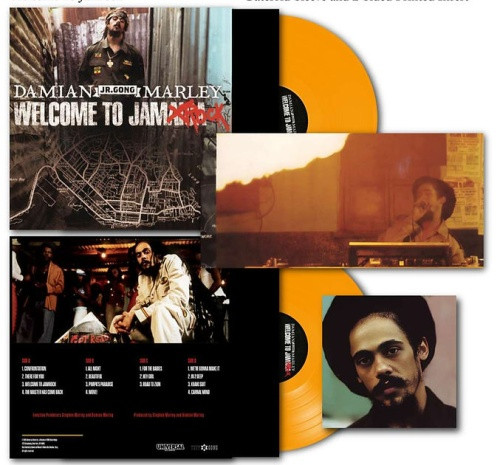 DAMIAN jr. GONG MARLEY レコード 2枚セット レゲエ Damian 