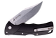 Verdict Clip Point - Black flip