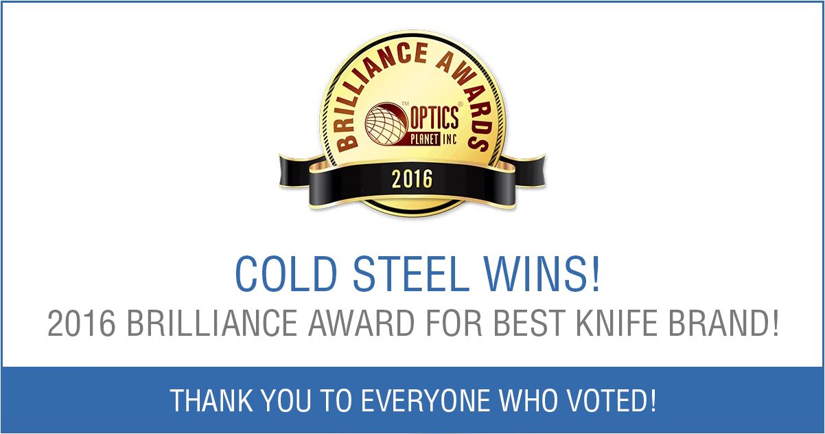 2016 Brilliance Award