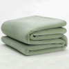 WestPoint/Martex Westpoint hospitality or Martex Vellux Hotel Blanket or Priced by the case