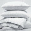 Ganesh Mills or Oxford Super Blend Ganesh Mills or Oxford or Pillow w/ Micro Gel or pack of 12