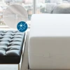6-gauge vinyl zippered encasement, product view