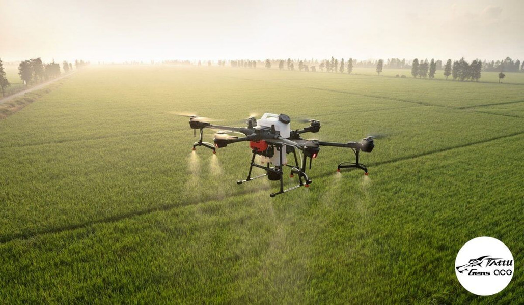 How to use and maintain the agricultural spraying drone battery